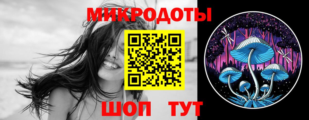 Галлюциногенные грибы Psilocybine cubensis Коломна