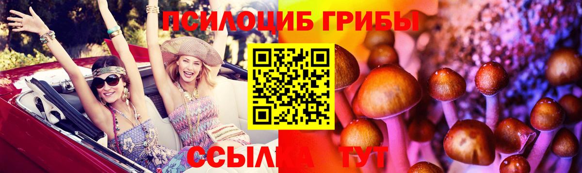 Коломна  Псилоцибиновые грибы MAGIC MUSHROOMS  Вход с VPN 